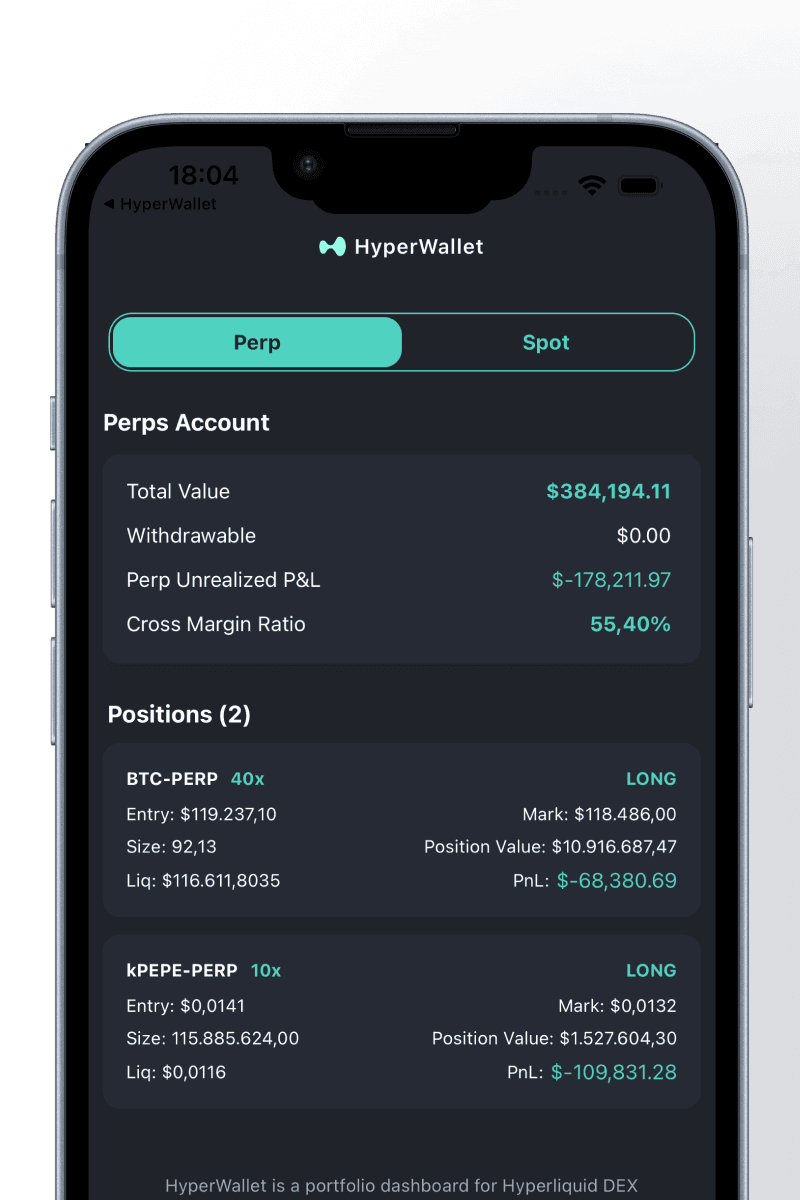 HyperWallet Mobile App Interface
